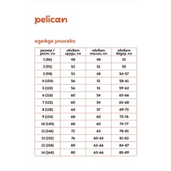 Худи PELICAN, 1044222