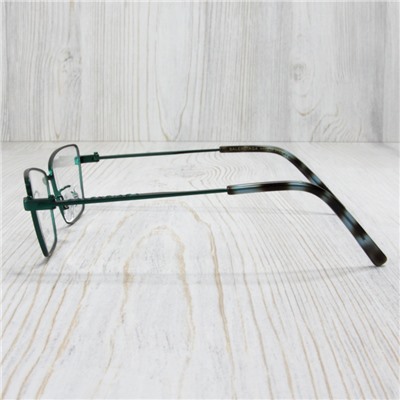 FE00748 - Оправа BALENCIAGA BB0225O  C.003Q green