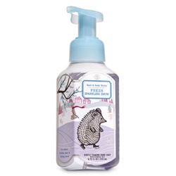 Fresh Sparkling Snow


Gentle Foaming Hand Soap