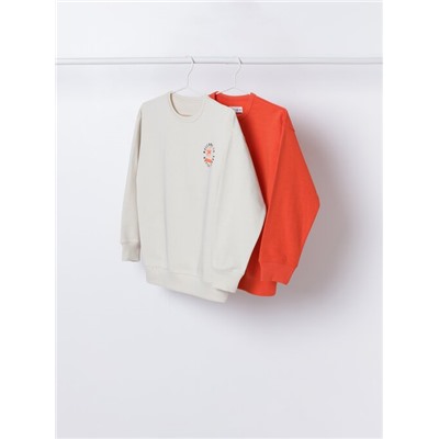 PACK OF 2 ASSORTED SWEATSHIRTS