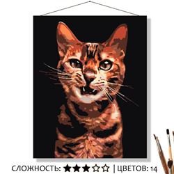 «ЗЛОЙ»