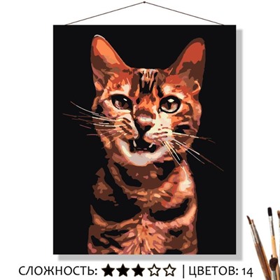 «ЗЛОЙ»