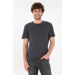 Erkek Regular Fit Bisiklet Yaka Antrasit Basic Tişört