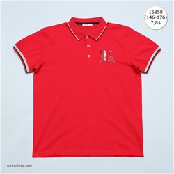 WNX TS 1 - 16858 Beden: 146-176
