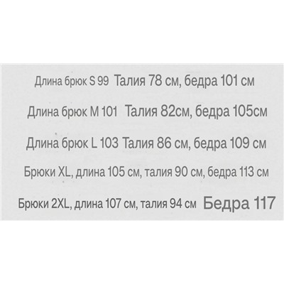 Мужские утепленные спортивные штаны с лампасами и завязками EMPORIO ARMAN*I