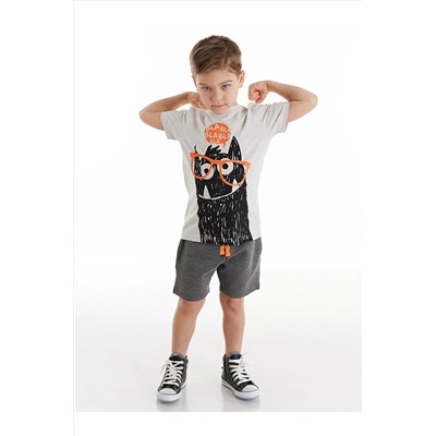 Denokids Erkek Çocuk Gri Şortlu Takım CFF-21Y1-049