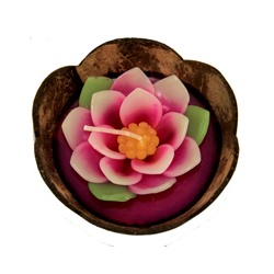 Свеча в кокосовом орехе «Розовый лотос» / PinkLotus coconut candle