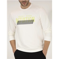 Ekru Sweatshirt
