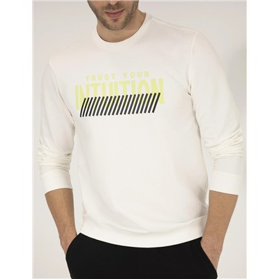 Ekru Sweatshirt