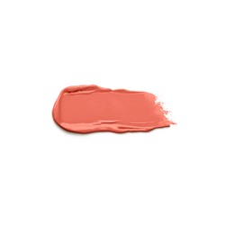 beauty roar ph matte liquid lip colour