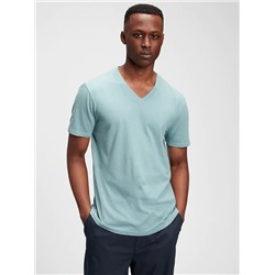 Classic V-Neck T-Shirt