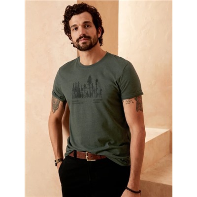 Redwoods Graphic T-Shirt