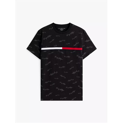 Signature Flag Stripe Logo T-Shirt