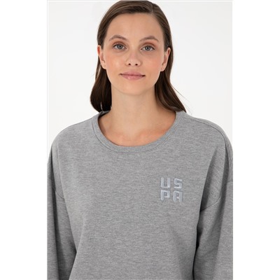 Kadın Gri Melanj Basic Bisiklet Yaka Sweatshirt