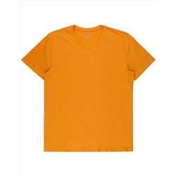 Herren T-Shirt mit V-Ausschnitt