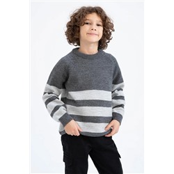 Defacto Erkek Çocuk Regular Fit Bisiklet Yaka Triko Kazak Z4214A622WN