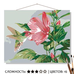 «ГИБИСКУС И КОЛИБРИ»