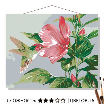 «ГИБИСКУС И КОЛИБРИ»