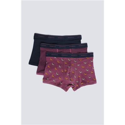 Pack 3 boxers perros y rayas