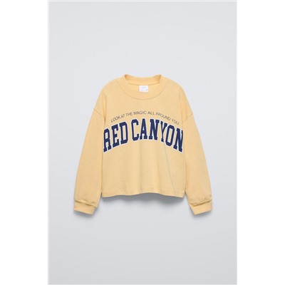 VARSITY T-SHIRT