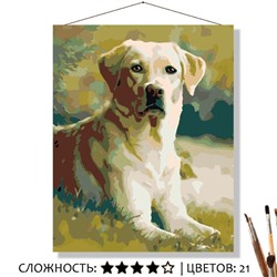 «ЛАБРАДОР НА ЛУЖАЙКЕ»