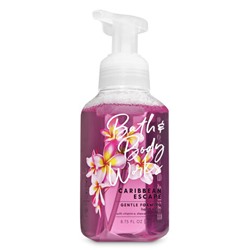 Caribbean Escape


Gentle Foaming Hand Soap
