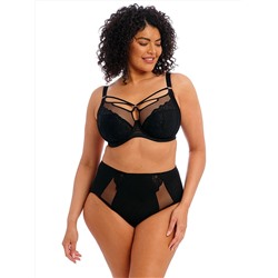 Brianna Full Brief