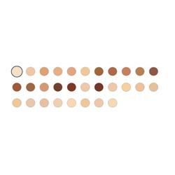 Shiseido Synchro Skin Self-Refreshing Foundation SPF 30