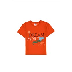 Erkek Çocuk Nar Çiçeği Oversize Bisiklet Yaka Tişört