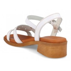 4453 - DIGO DIGO
                SANDALIAS DE TACÓN