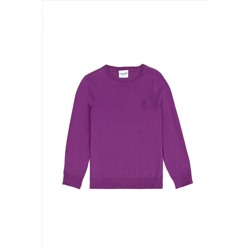 Kız Çocuk Violet Basic Kazak