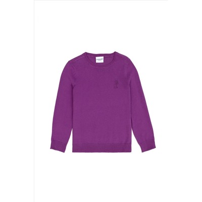 Kız Çocuk Violet Basic Kazak