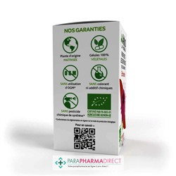 ArkoPharma ArkoGélules - Echinacée - Renforce les Défenses de l'Organisme - BIO 45 gélules