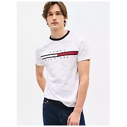 Signature Flag Stripe Logo T-Shirt