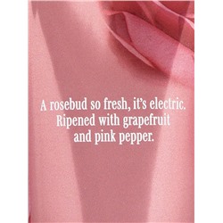 BODY CARE Limited Edition Fuchsia Fantasy Fragrance Lotion