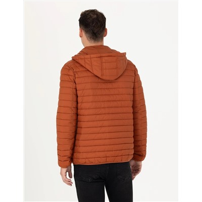 Tarçın Slim Fit Mont