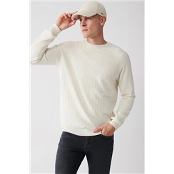 Avva Erkek Ekru Bisiklet Yaka Önü Desenli Reglan Kol Standart Fit Normal Kesim Triko Kazak A32y5155 A32Y5155