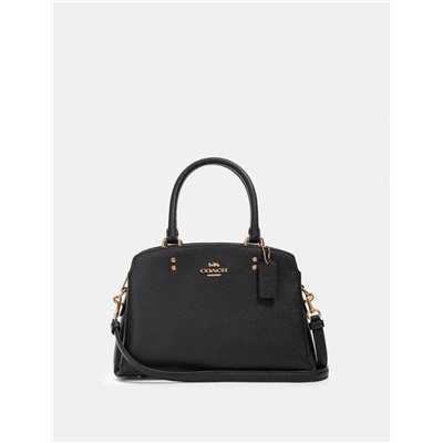 Mini Lillie Carryall