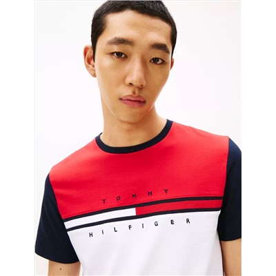 Colorblock Flag Stripe Logo T-Shirt