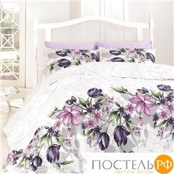Постельное белье "Карвен" ранфорс евро (Riella Lilac) (арт. N023 Riella Lilac)