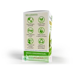 ArkoPharma ArkoGélules - Thé Vert - Brûleur de Graisses - BIO 40 gélules