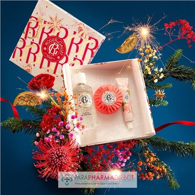 Roger & Gallet - Coffret Noël Bienfaisant Fleur de Figuier (Eau Parfumée 100ml + Galets de Bain 3x25g + Savon 50g)