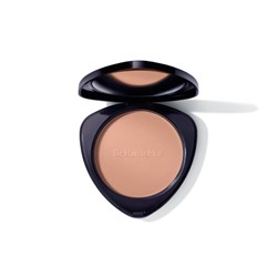 Пудра для лица с бронзовым эффектом 01 (Bronzing Powder 01)