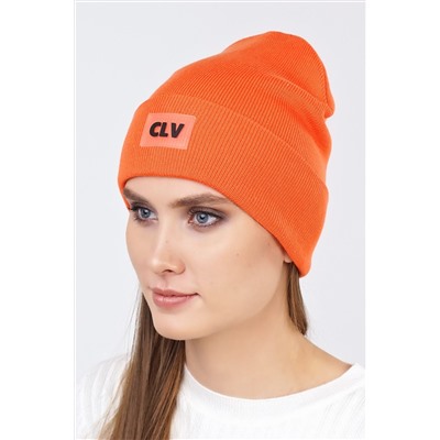 Шапка CLEVER, 797940