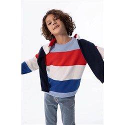 Defacto Erkek Çocuk Regular Fit Bisiklet Yaka Kazak X7865A622AU