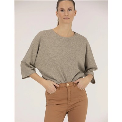 Camel Comfort Fit Tişört