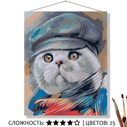 «КОТ В КЕПКЕ»