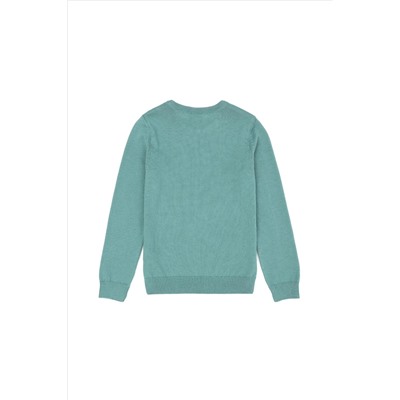 Erkek Çocuk Mint Basic Kazak