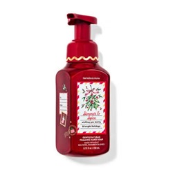 Simmer & Spice Gentle & Clean Foaming Hand Soap