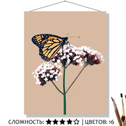 «ЖЁЛТО-ЧЁРНАЯ БАБОЧКА»